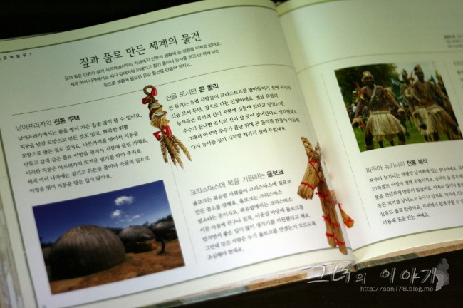 흙이랑나무랑 이미지