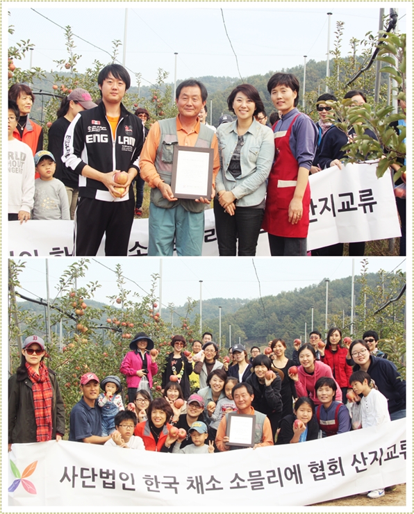 한국채소소믈리에협회 이미지