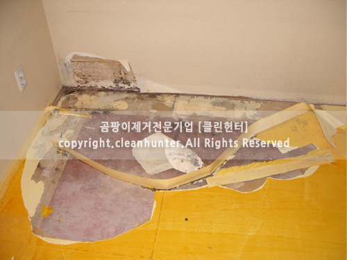 곰팡이헌터 이미지