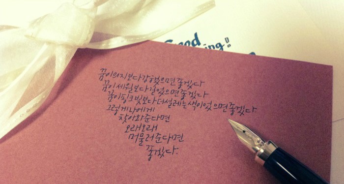 하토 이미지