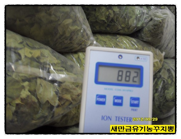 새만금유기농꾸지뽕 이미지