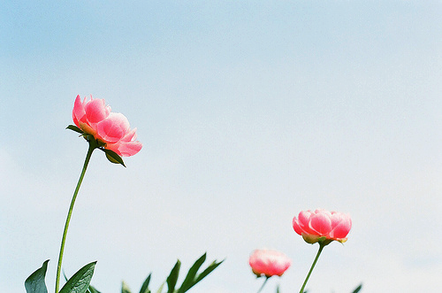 이장근 이미지