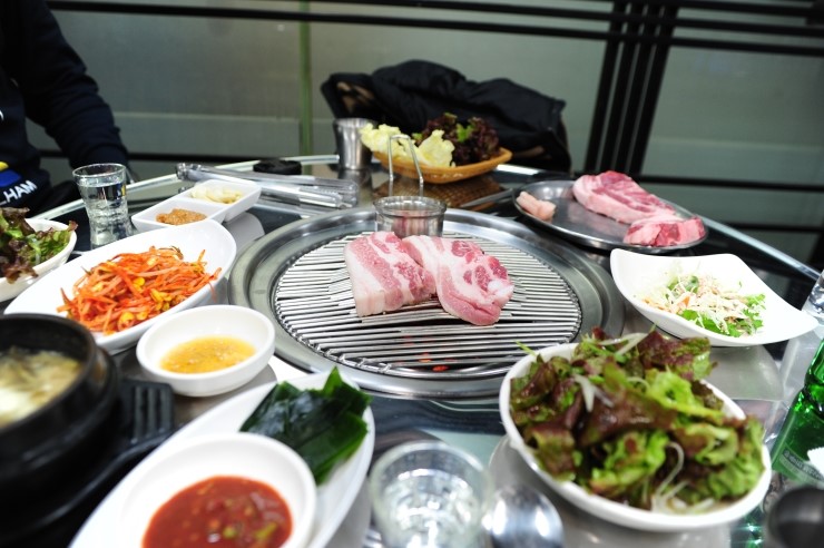 참돈 이미지