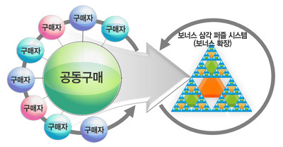 에스티엔 이미지