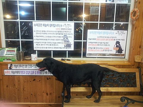 하늘식당 이미지