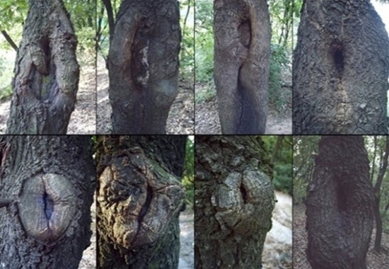 정마취통증의학과 이미지