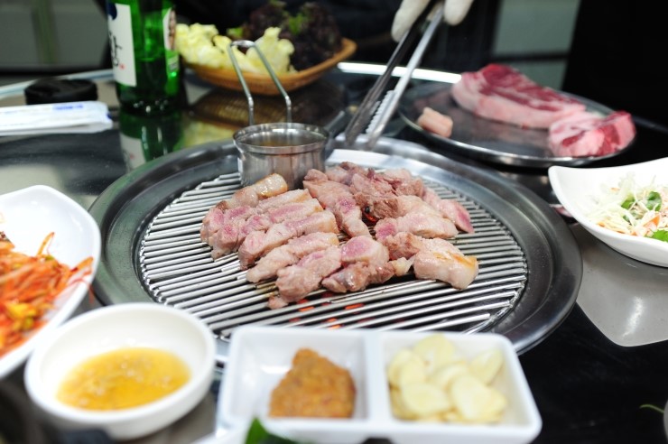 참돈 이미지