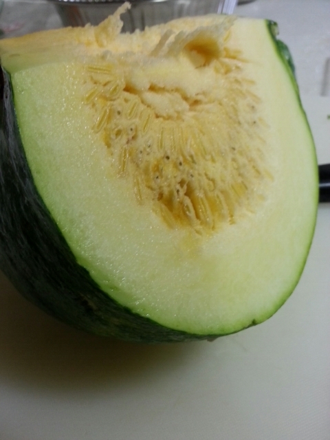 사랑꽃집 이미지