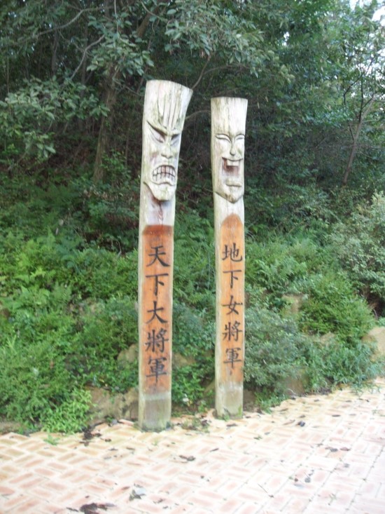 물든머리 이미지
