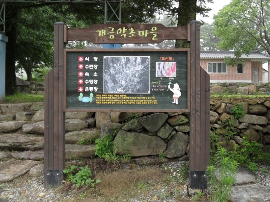 개금약초 이미지