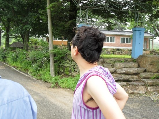 개금약초 이미지