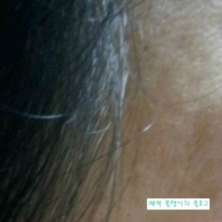 이지스헤어 이미지