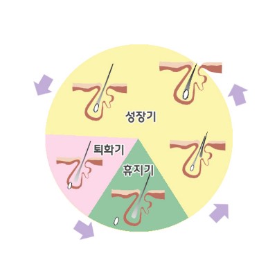예스압구정 이미지