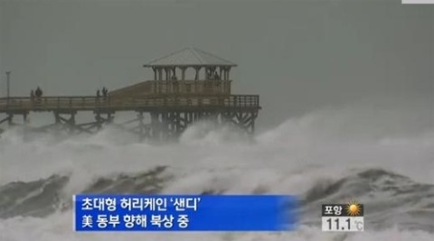 샌디샌디 이미지