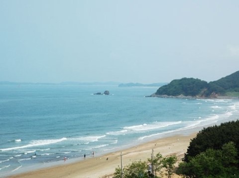 바람아래 이미지