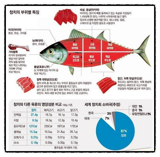 황제참치 이미지
