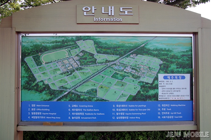 제주목장 이미지
