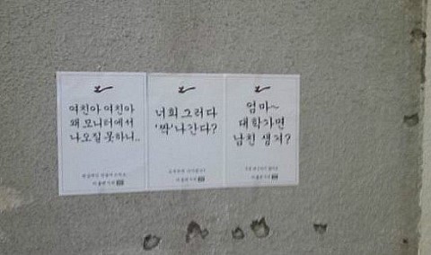 선보래 이미지