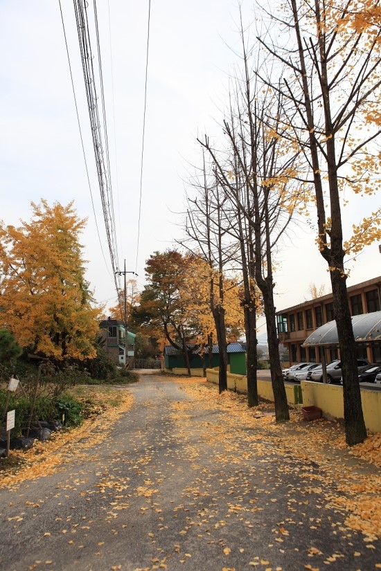 솔바람조경 이미지