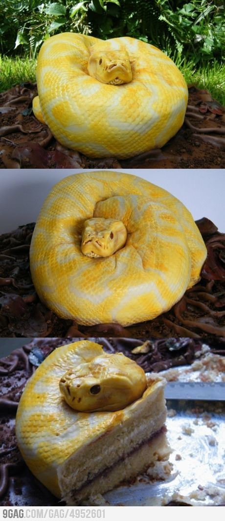 음케이크 이미지