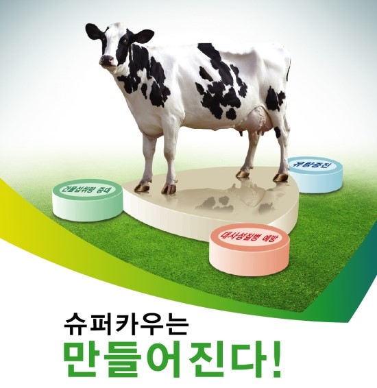 선진하우징 이미지