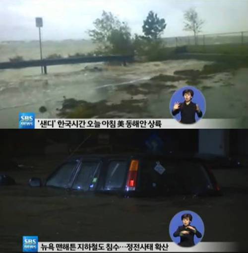 샌디샌디 이미지