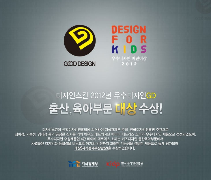 디자인스킨 이미지