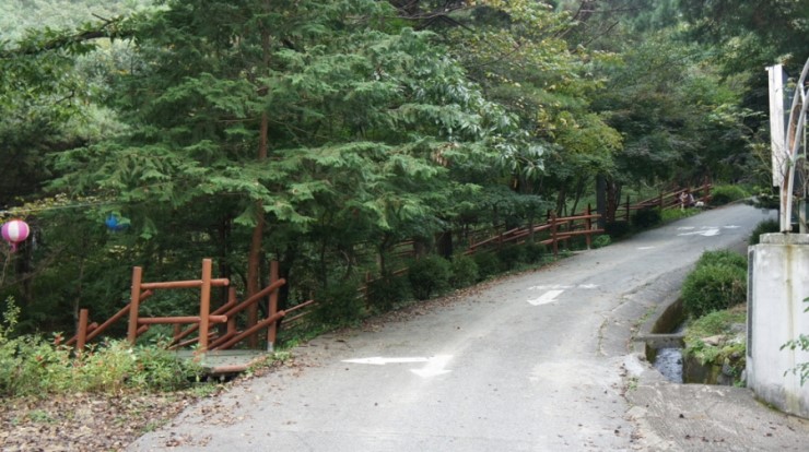 춘천숲자연휴양림 이미지