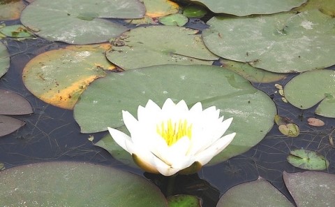 서공주JC(공주) 이미지
