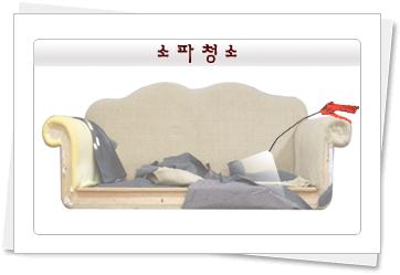 대남사 이미지