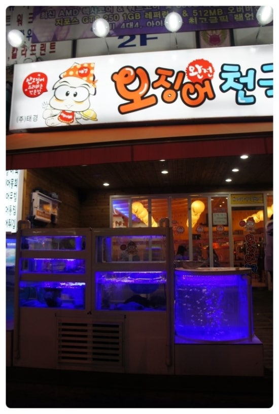 오징어천국완전 이미지