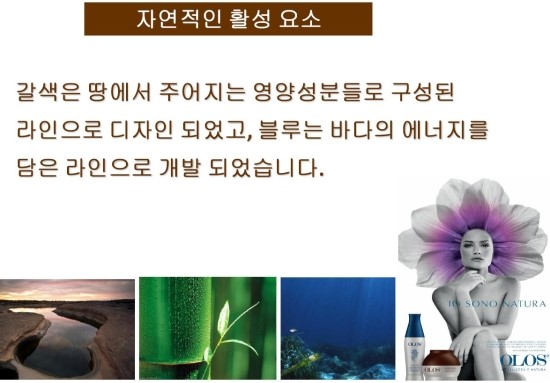 양지화장품 이미지
