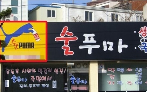 술푸마 이미지