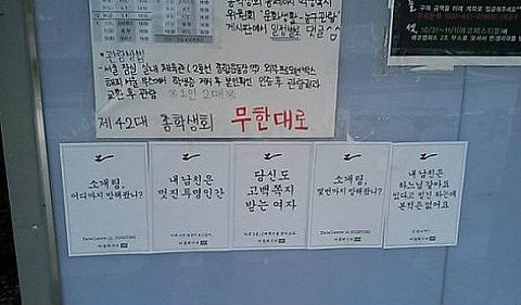 선보래 이미지