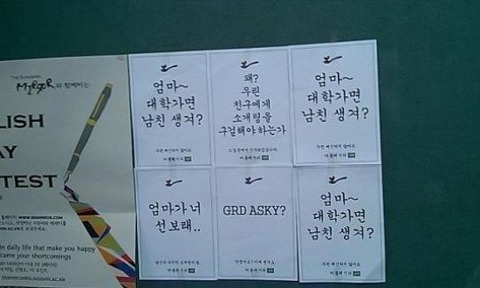 선보래 이미지