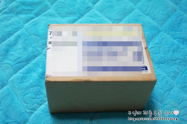 건돌이 이미지