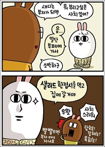 사치 이미지