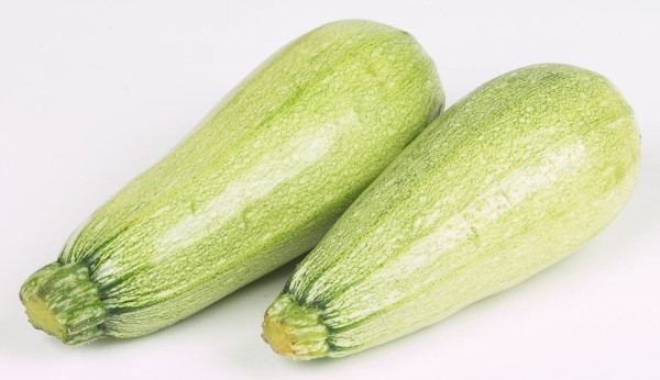 대전한방 이미지