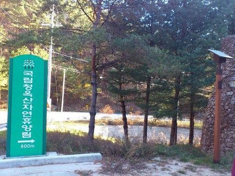 부래주유소 이미지