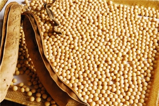 전통콩국.콩국수 이미지