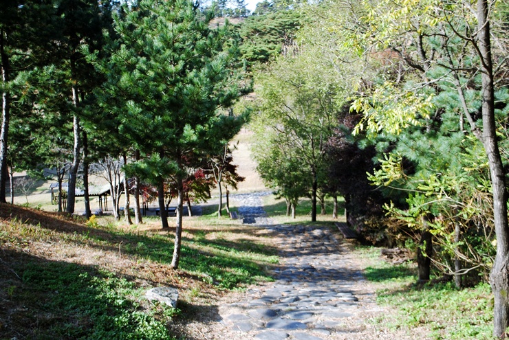 서논산IC(논산) 이미지