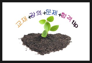나무간호학원 이미지