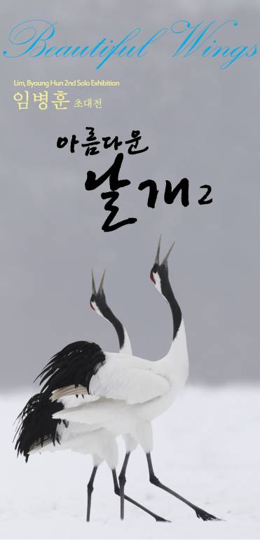 아름다운날개 이미지