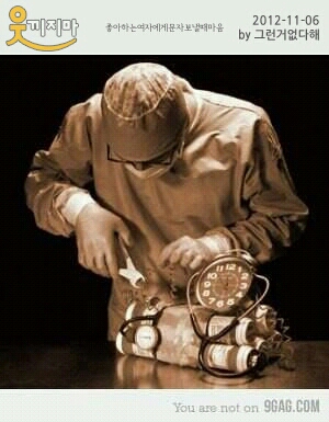 보넬 이미지