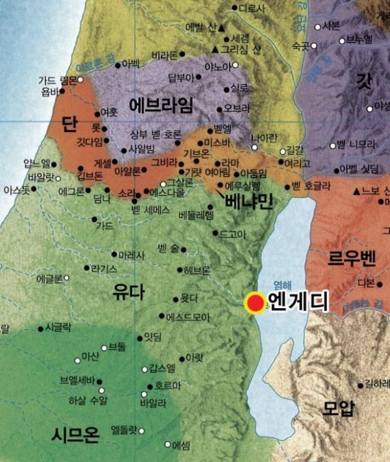 엔게디 이미지