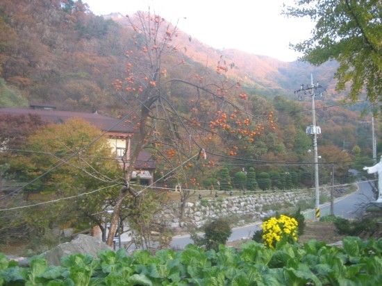 (주)원지지앤피 이미지