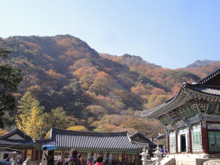 용문사 이미지