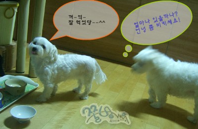 먹자 이미지