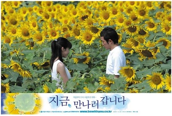 아이오씨 이미지