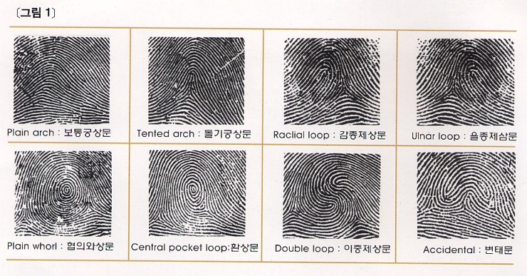 다중지문 이미지